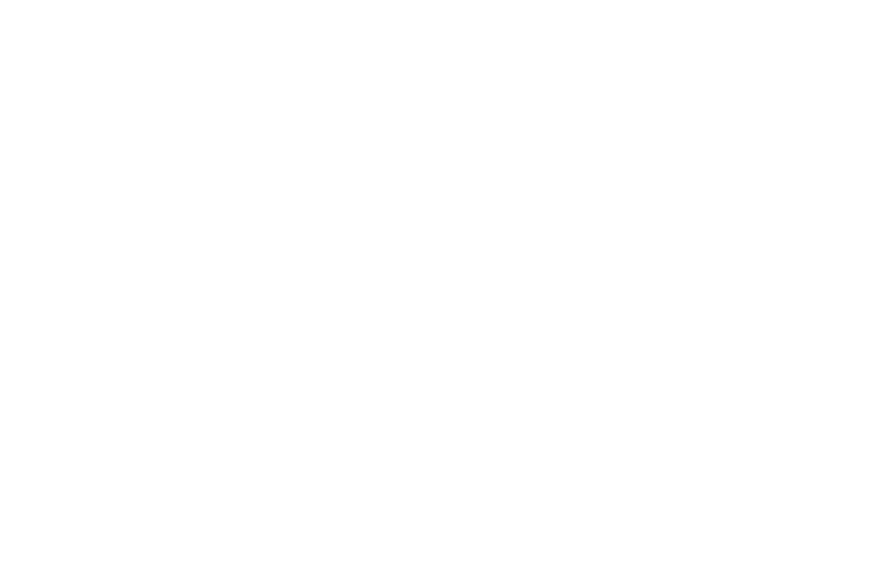 Street Movies Festival — Official Selection — 2024