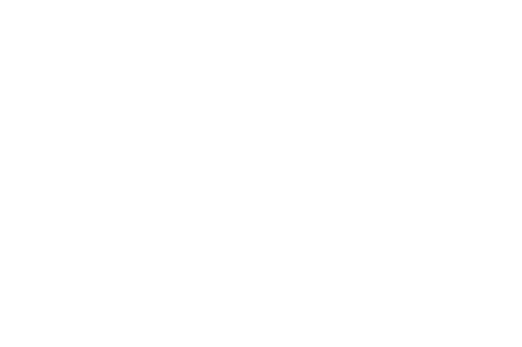 WideScreen Film & Music Video Festival — Honorable Mention — 2024